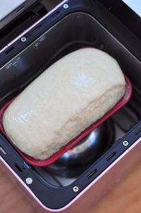 小麦胚芽土司的做法步骤8